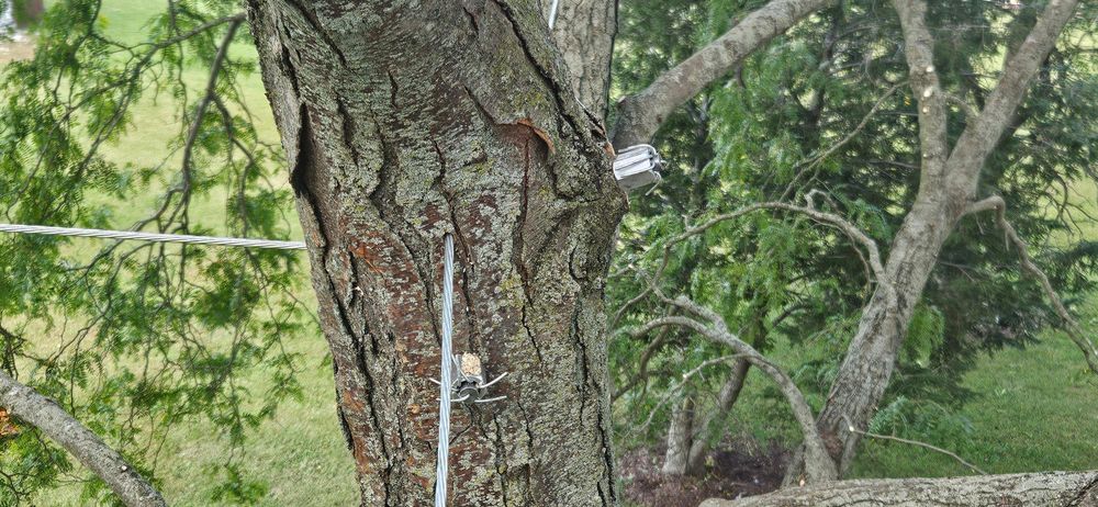 All Photos for Highborn Tree Service in Wheatfield, IN