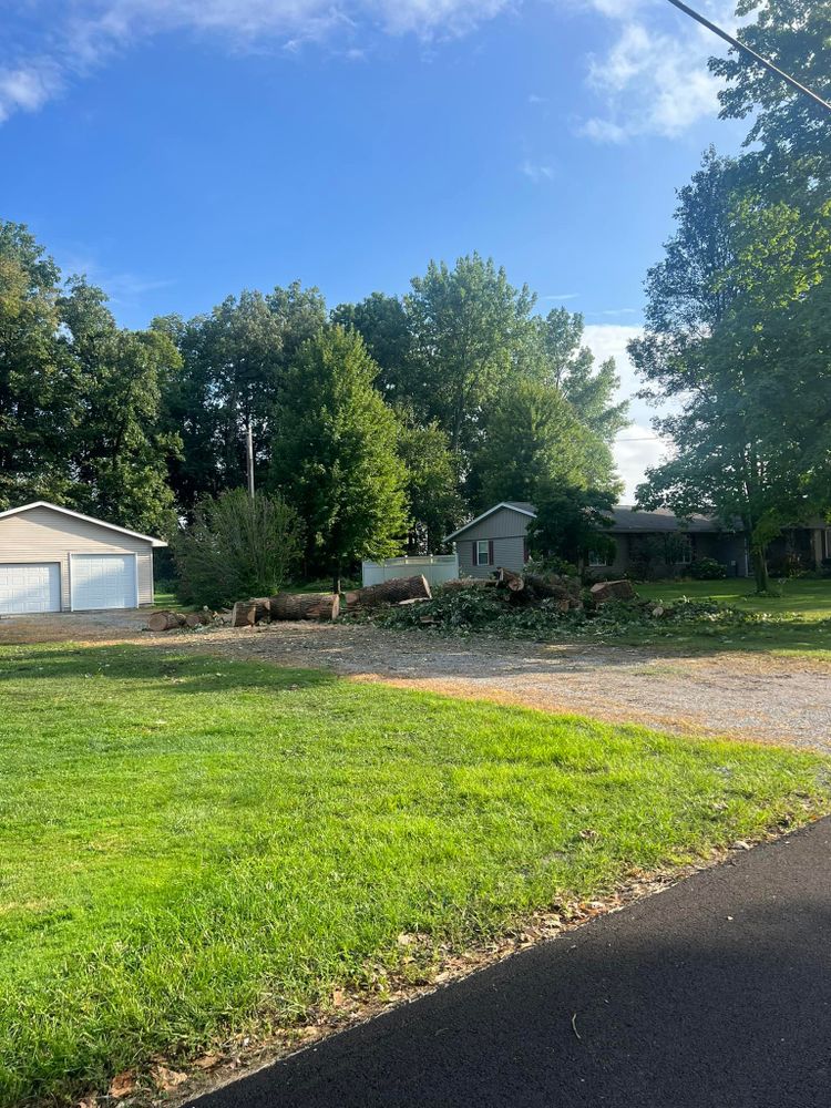 Tree Removal for Hunnicutt’s Tree Service L.L.C. in Monticello, IN