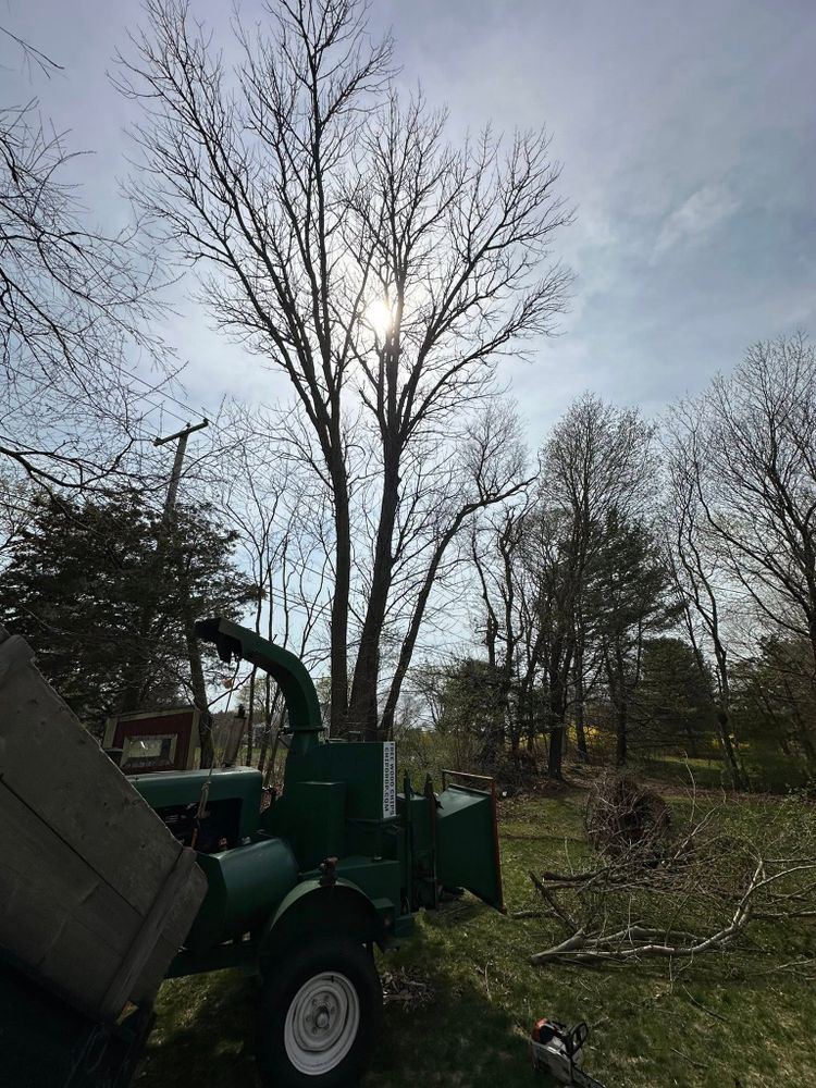 All Photos for Silver City Tree and Landscape in Taunton, MA