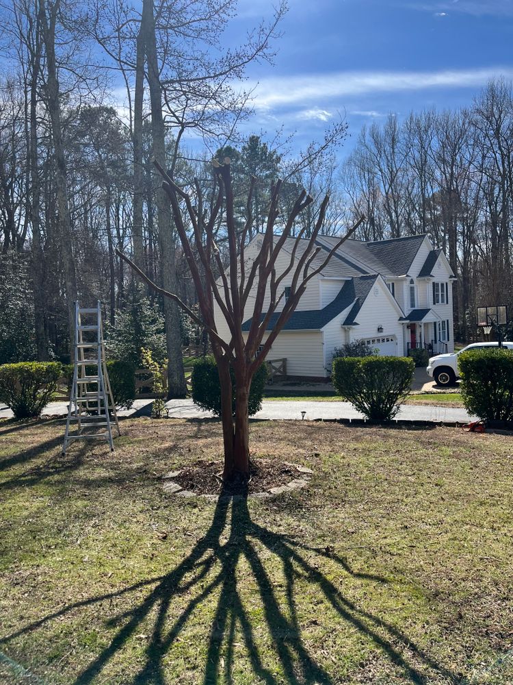 All Photos for Atlas Home Services in Mechanicsville, VA