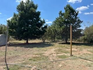 All Photos for Oviedo Land & Garden in Bastrop, TX