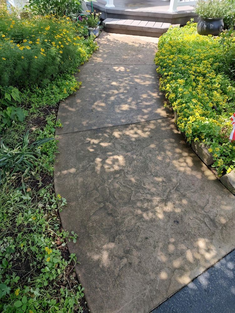 All Photos for MMN Cleaning PressureWashing & Gutter Cleaning LLC in Medina, New York
