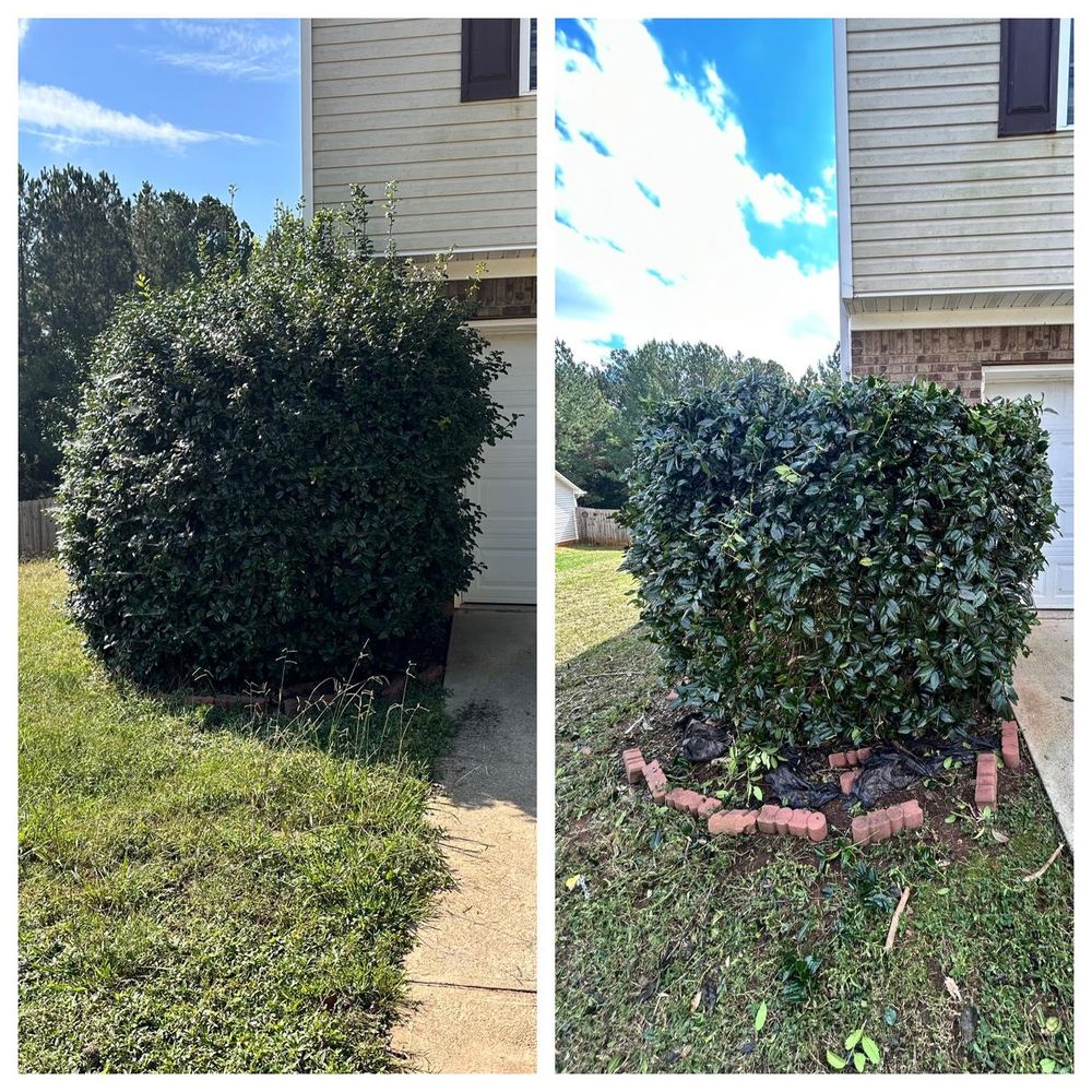 All Photos for Worsham Landscaping and Pressure Washing LLC in Social Circle, GA