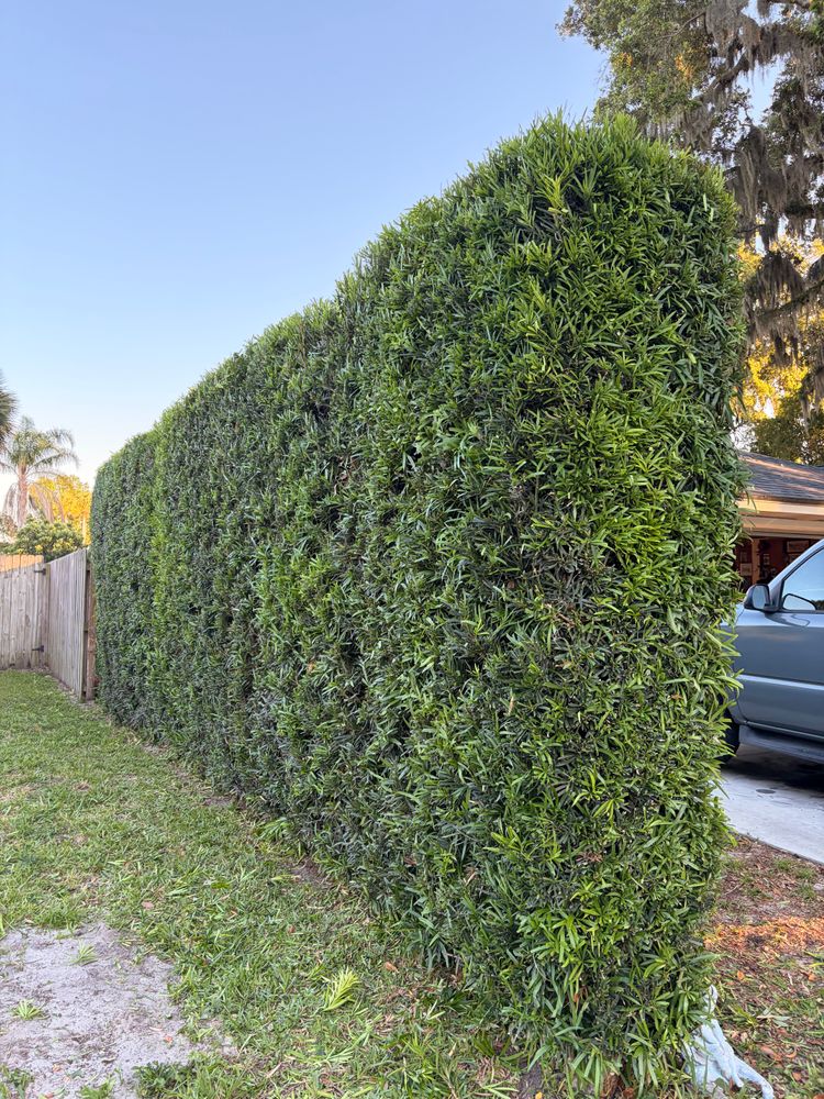 All Photos for Vanic's Landscaping in Port Orange, FL