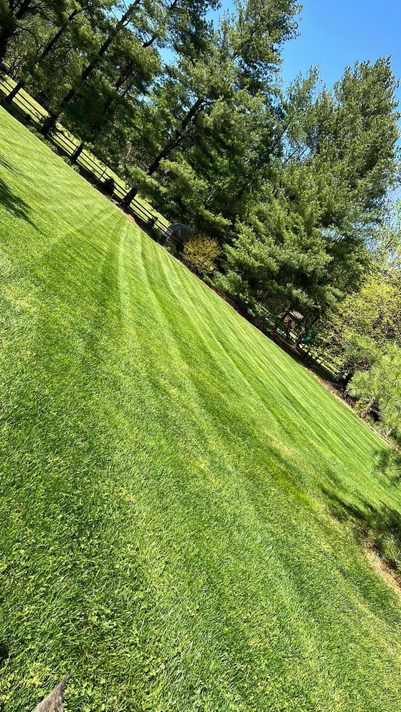 All Photos for Ridgewood Lawn Care LLC in Fredericksburg, VA
