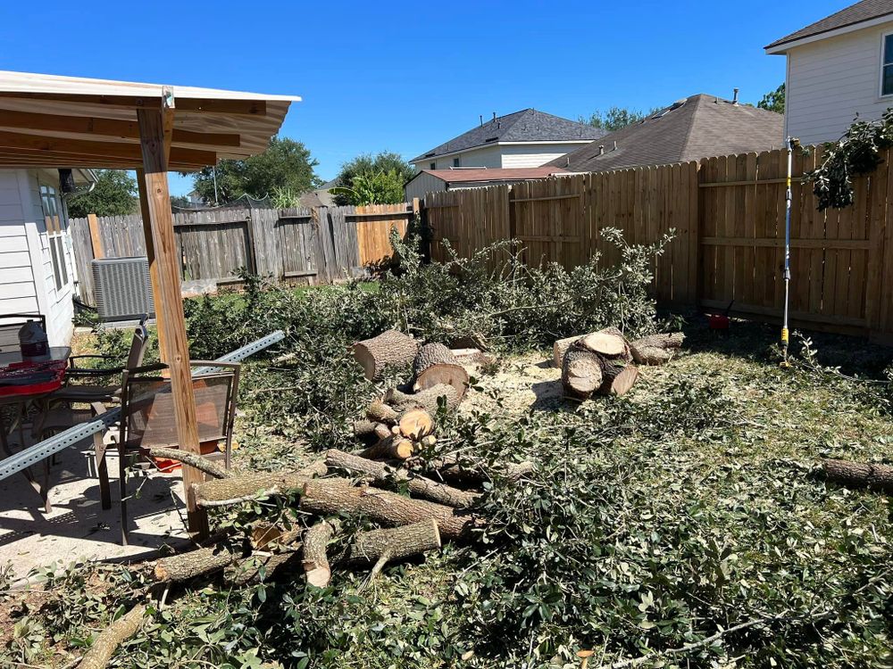 Tree Trimming for Bobby’s lawn services in Baytown, TX