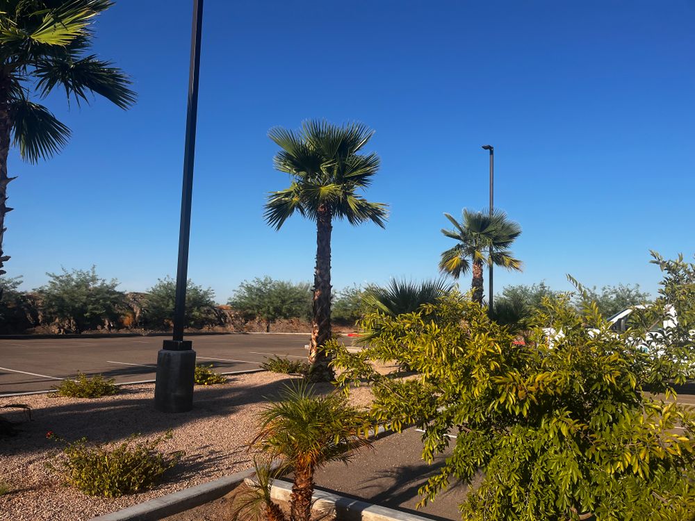Commercial Gravel Installation for AZ Tree & Hardscape Co in Surprise, AZ