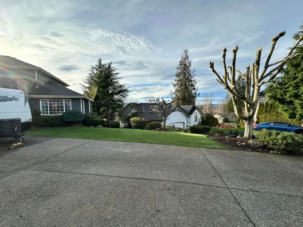 Landscaping for SAW Enterprises  in Arlington , WA