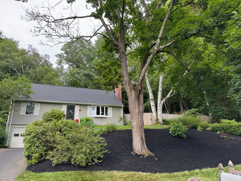 All Photos for Adams Landscaping in Springfield, MA
