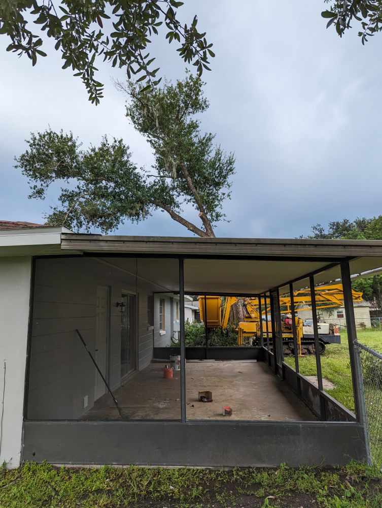 All Photos for Regal Tree Service and Stump Grinding in Wauchula, FL