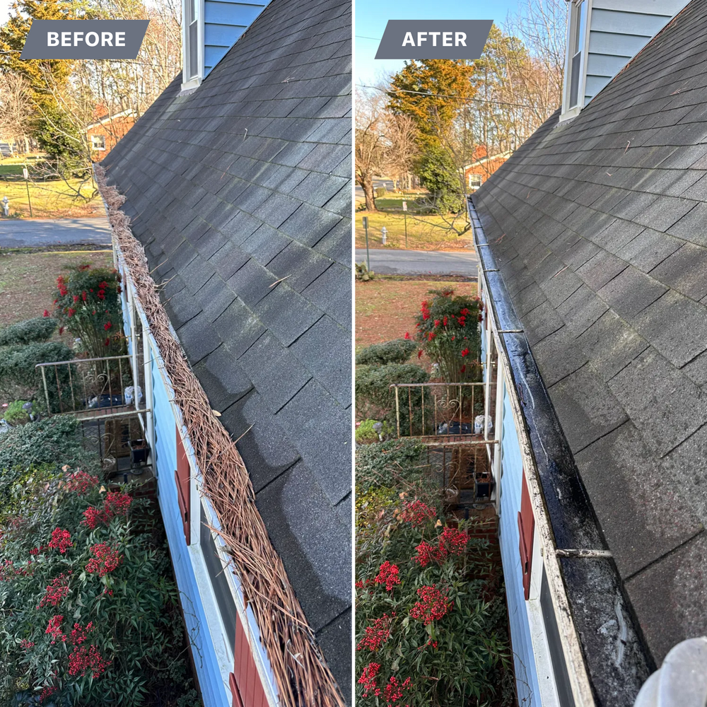 All Photos for LeafTide Solutions in Richmond, VA