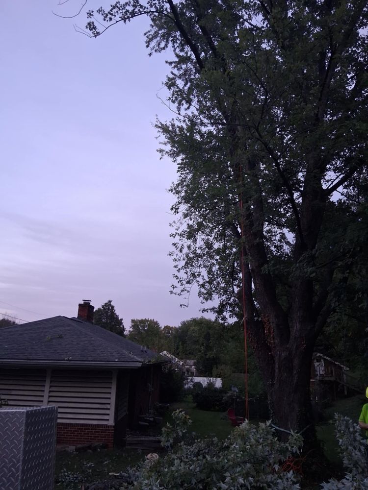 All Photos for Red Roosters Tree Services in Bedford County, VA