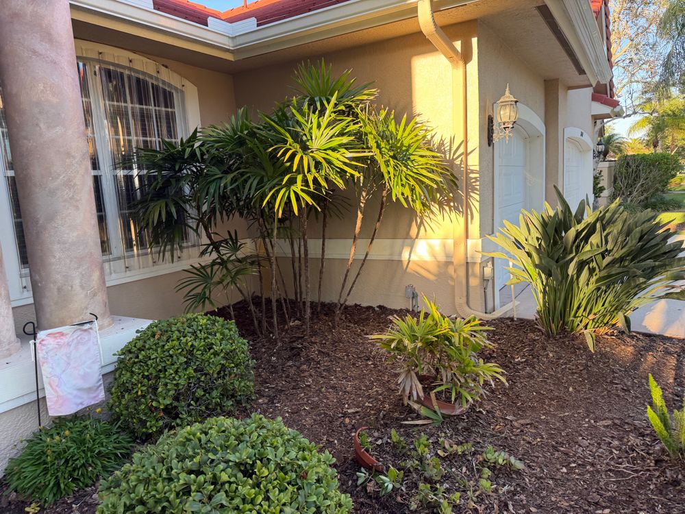 All Photos for Epic Vine Design in Melbourne, FL