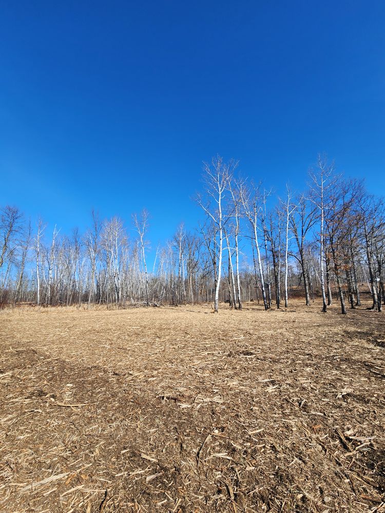 All Photos for Northern Ridge Dock & Lift in McGregor, MN