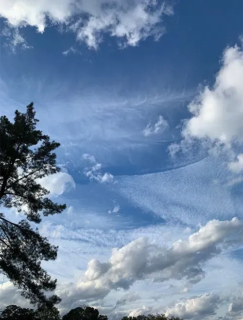 All Photos for R Merkli Inc. in Mount Vernon , VA