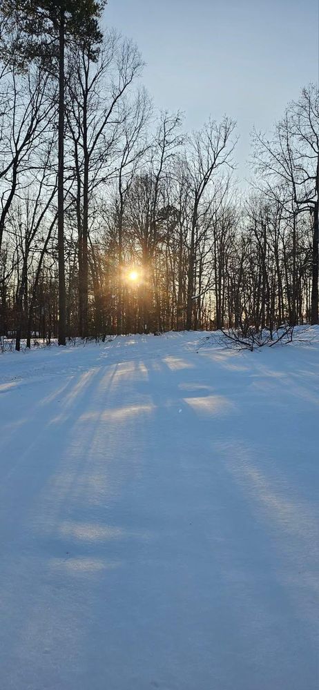 All Photos for Tru-Love Outdoor Services in Denton, NC