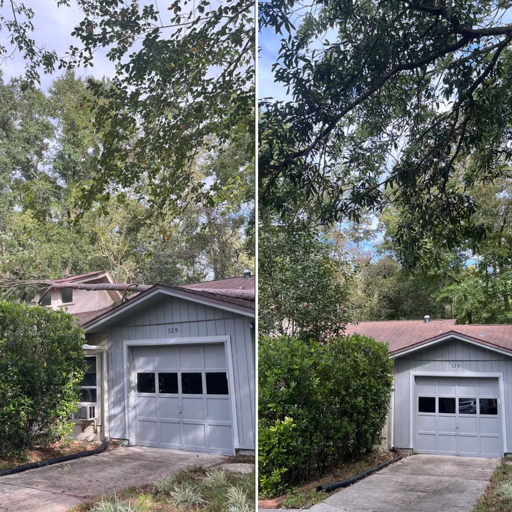 All Photos for Top Notch Tree Experts in Orange Park, FL