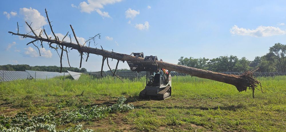 All Photos for Highborn Tree Service in Wheatfield, IN