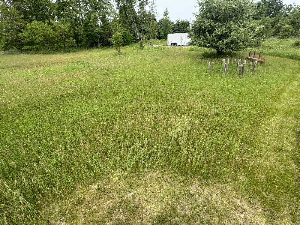 Landscaping Lawn Care for Daugherty's Tough Lawn Care in Essexville, MI