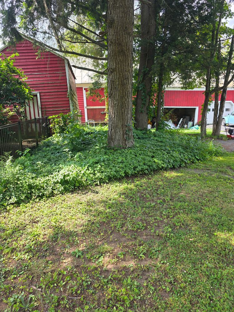 All Photos for Sweet Scapes in Ballston Spa, NY