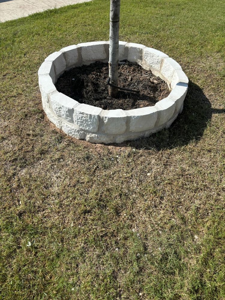 All Photos for Pina Landscaping in Austin, TX