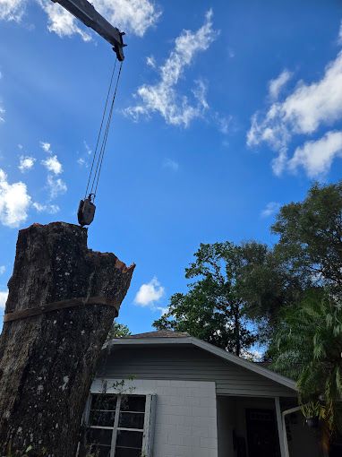 All Photos for Near Me Tree Service, Inc. in DeLand, FL