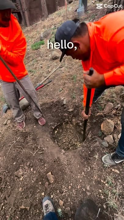 All Photos for G&B Yard Service in Ruidoso Downs, NM