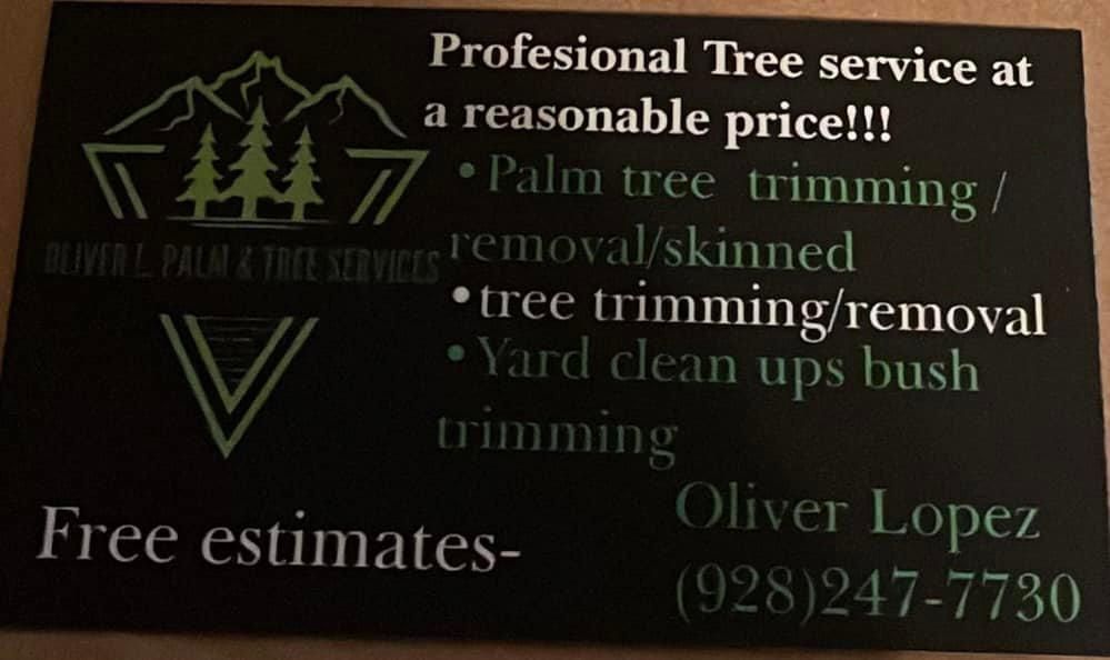 All Photos for Oliver L. Palm & Tree services in Yuma County, AZ