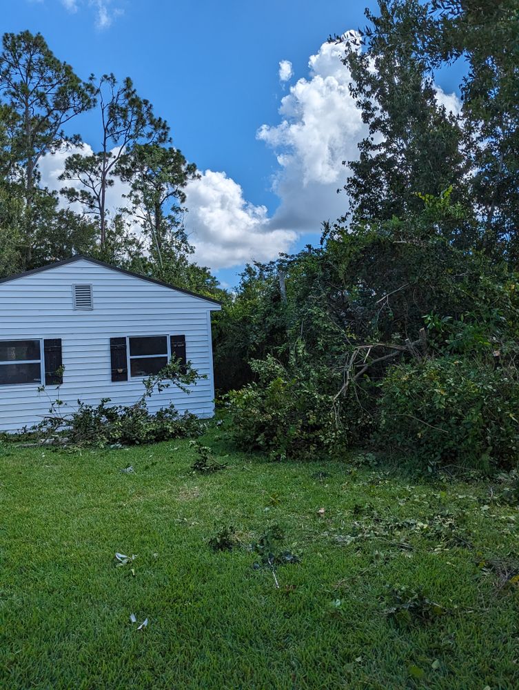 All Photos for Regal Tree Service and Stump Grinding in Wauchula, FL