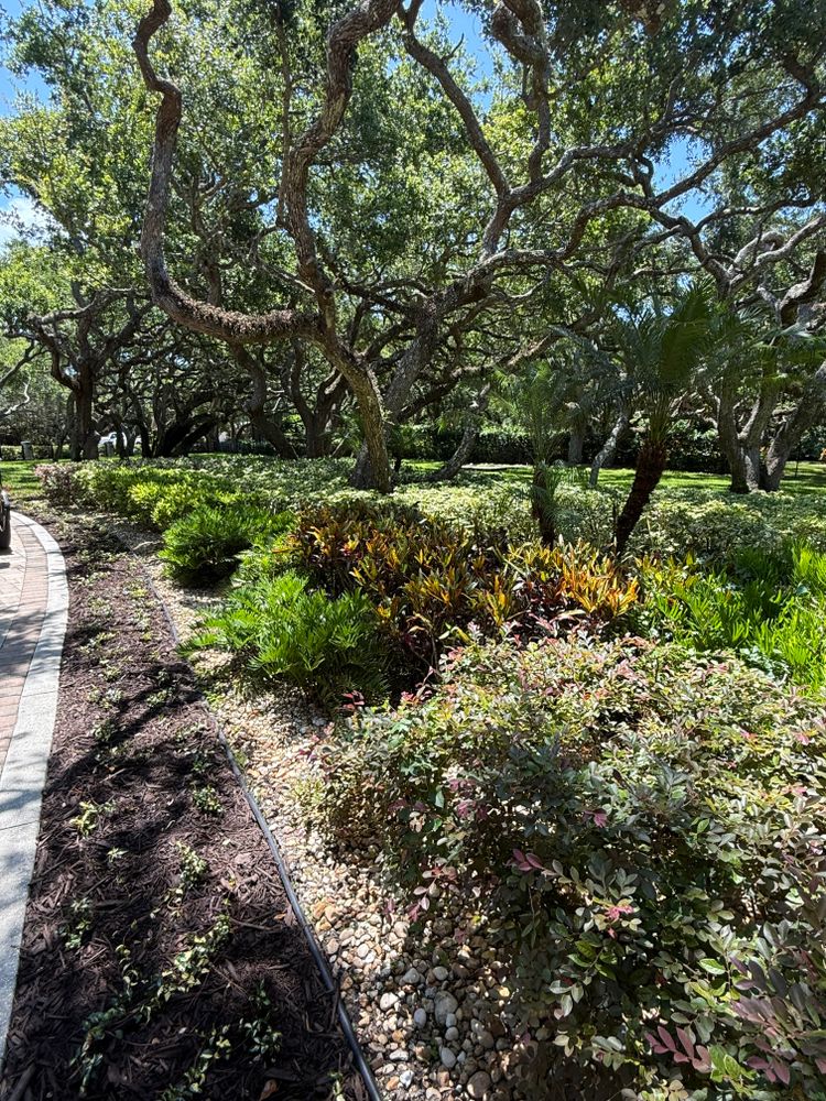 All Photos for Vanic's Landscaping in South Daytona, FL