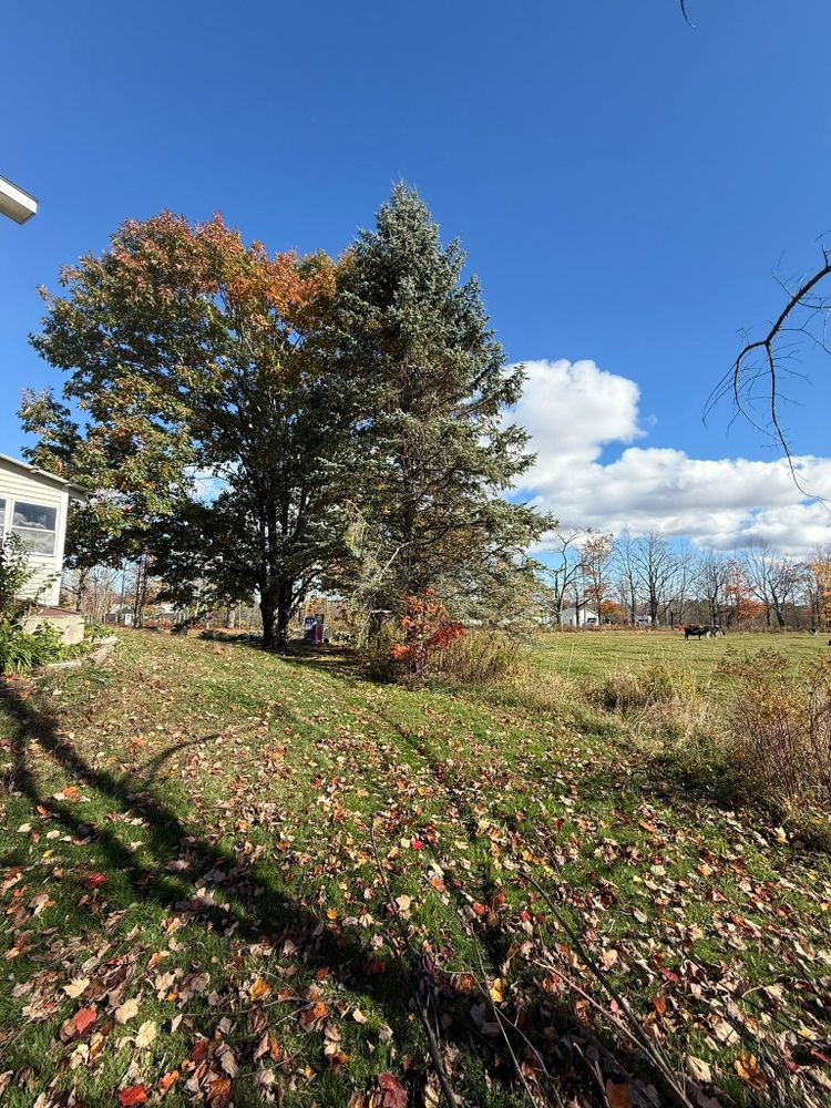 All Photos for CWB Lawn Care & Landscaping in Franklin County, ME