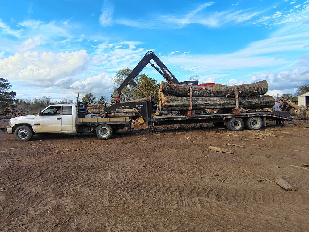 Our professional logging service safely and efficiently removes unwanted trees from your property, ensuring minimal disruption to your landscape while enhancing safety and increasing usable outdoor space. for Alpers Tree Services in Cleveland, TX