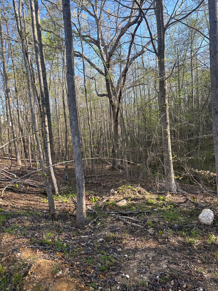 All Photos for A.P Land Management in Atlanta, Ga