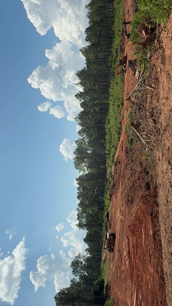 All Photos for Southern Land Improvements in Edgefield, SC