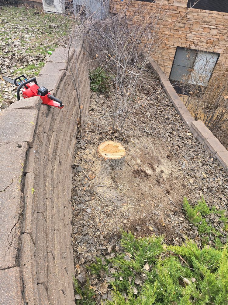 All Photos for LRS: Landscape, Rescue, Snow in Silt, CO