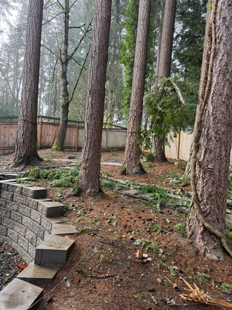 All Photos for Tony's Remodeling & Painting in Renton, WA