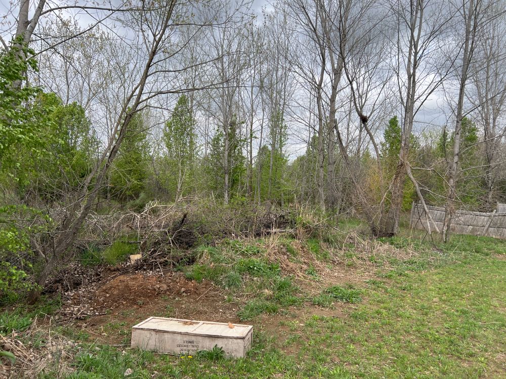 All Photos for Michael Way Acres in Woodlawn, TN