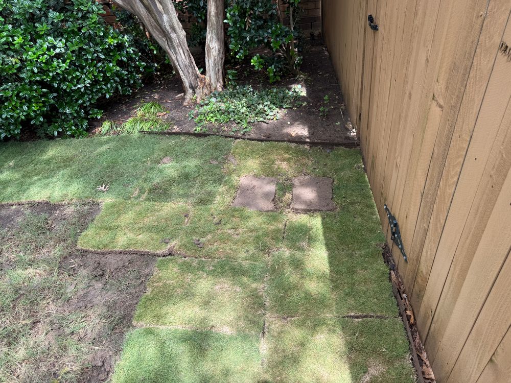 All Photos for Light It Up AV & Turf in Westlake, TX