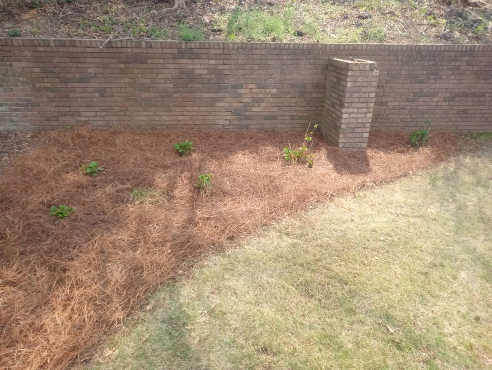 All Photos for Herring Lawn Care in Columbus, GA