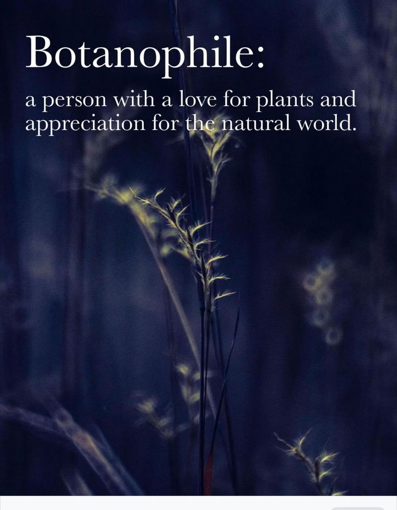 All Photos for The Dailey Daisy in Hardwick, VT