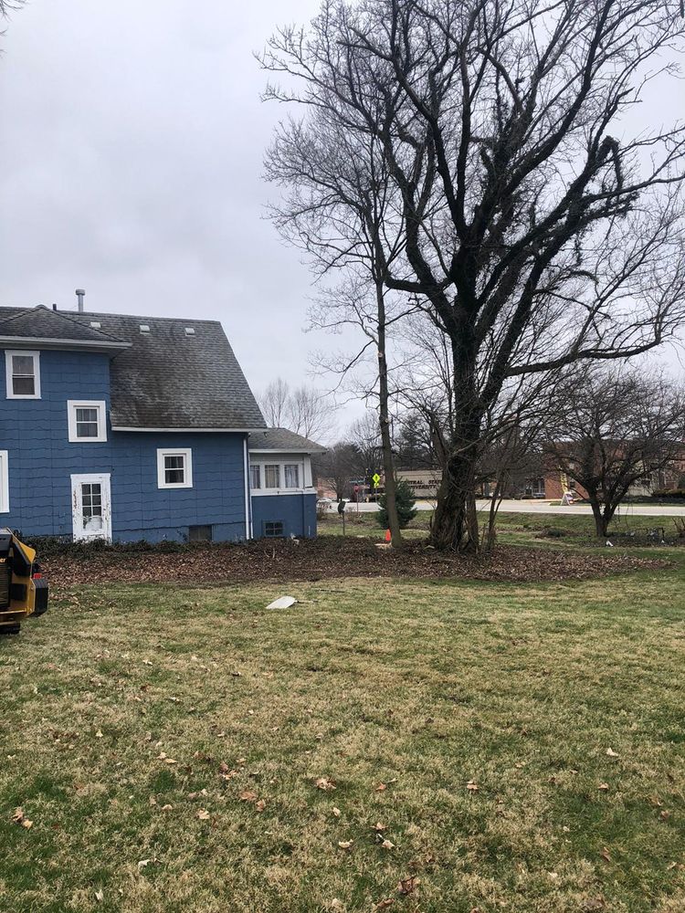 All Photos for F & F Tree Service in Beavercreek, OH