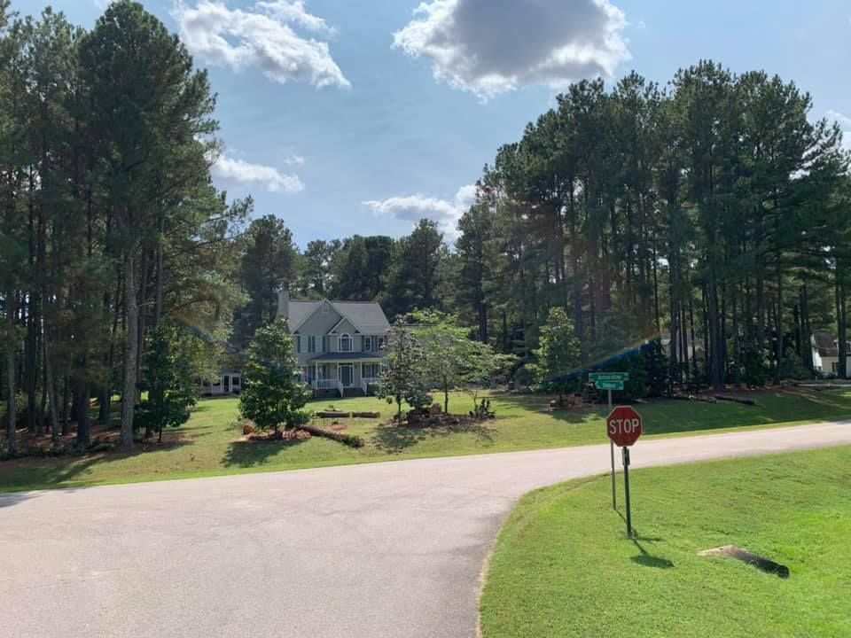 Tree Removal for AB Tree Service in Raleigh, NC