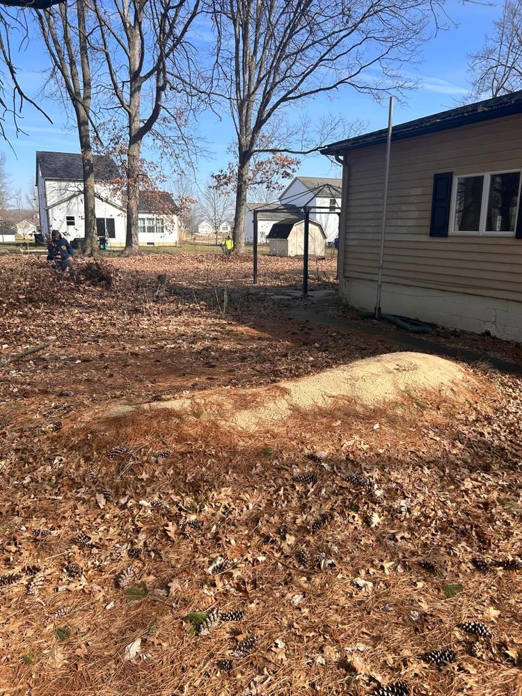 Landscaping for Next Level Outdoor Services in Akron, OH