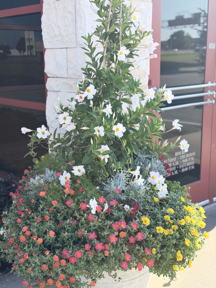 All Photos for Urban Lawn & Landscape in Oklahoma City, OK
