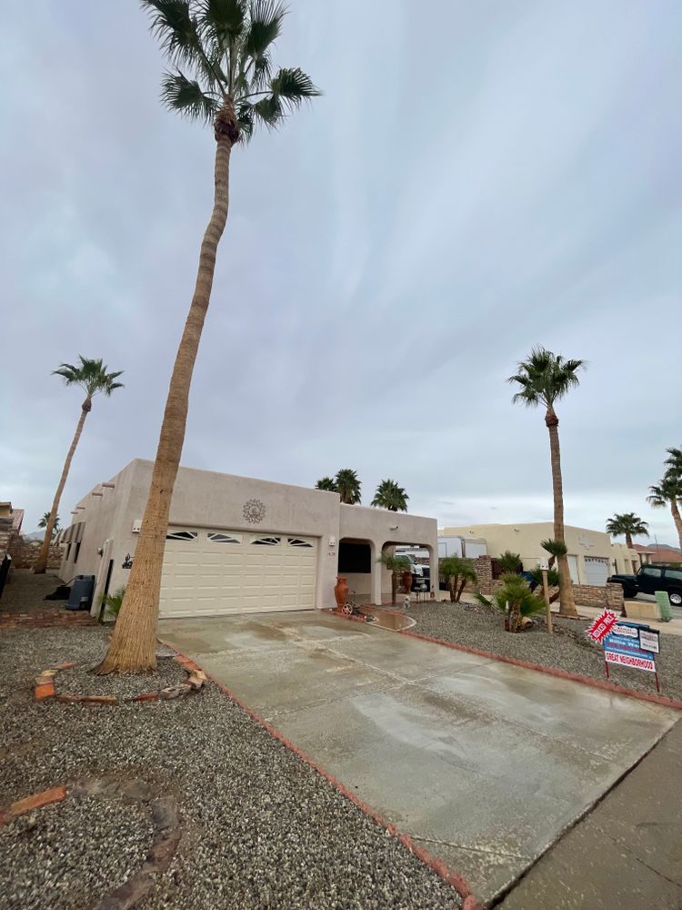 All Photos for Oliver L. Palm & Tree services in Yuma County, AZ