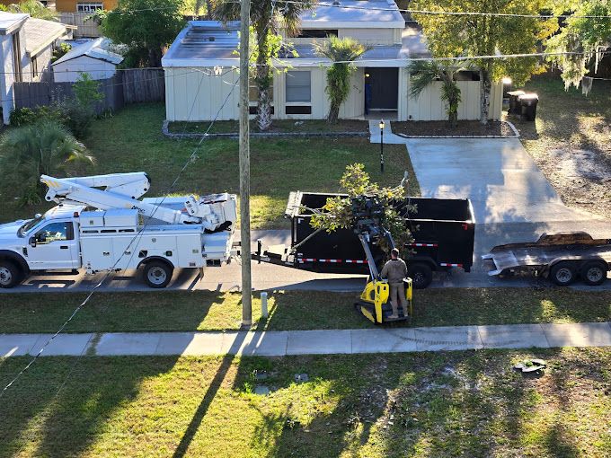 All Photos for Near Me Tree Service, Inc. in DeLand, FL