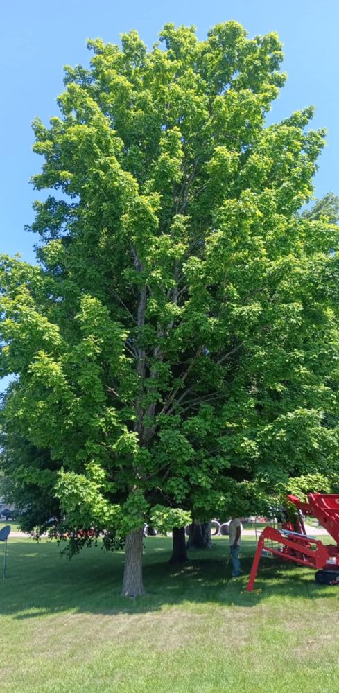 All Photos for Lawn Ranger Yard And Tree Service LLC in Ottumwa, IA