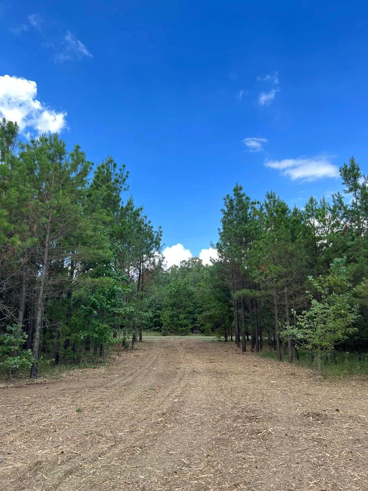 Land Clearing for Bass Land Management in Yellville, AR