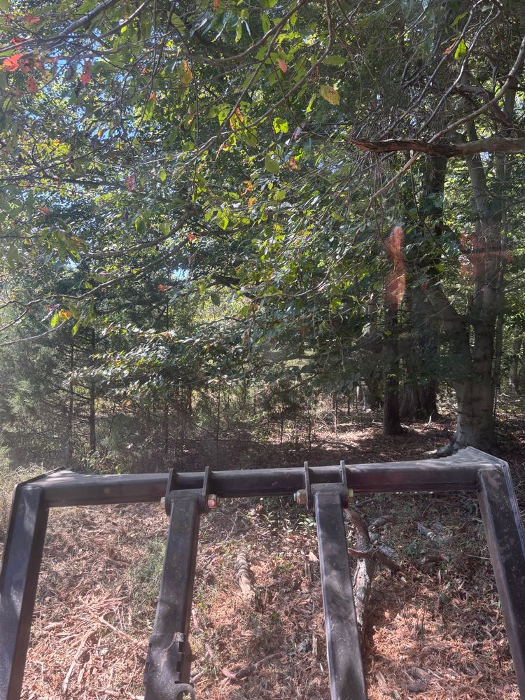 All Photos for Gregory Grass and Lawn in Lafayette, TN