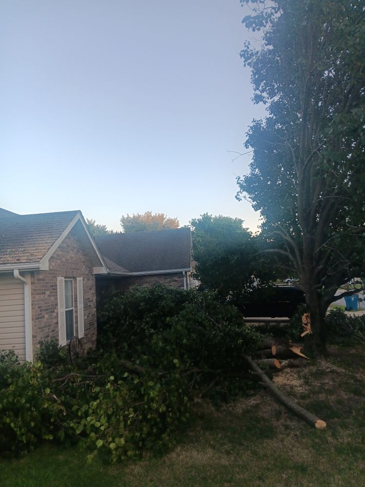 All Photos for Sky High Tree Service in Columbia, MO